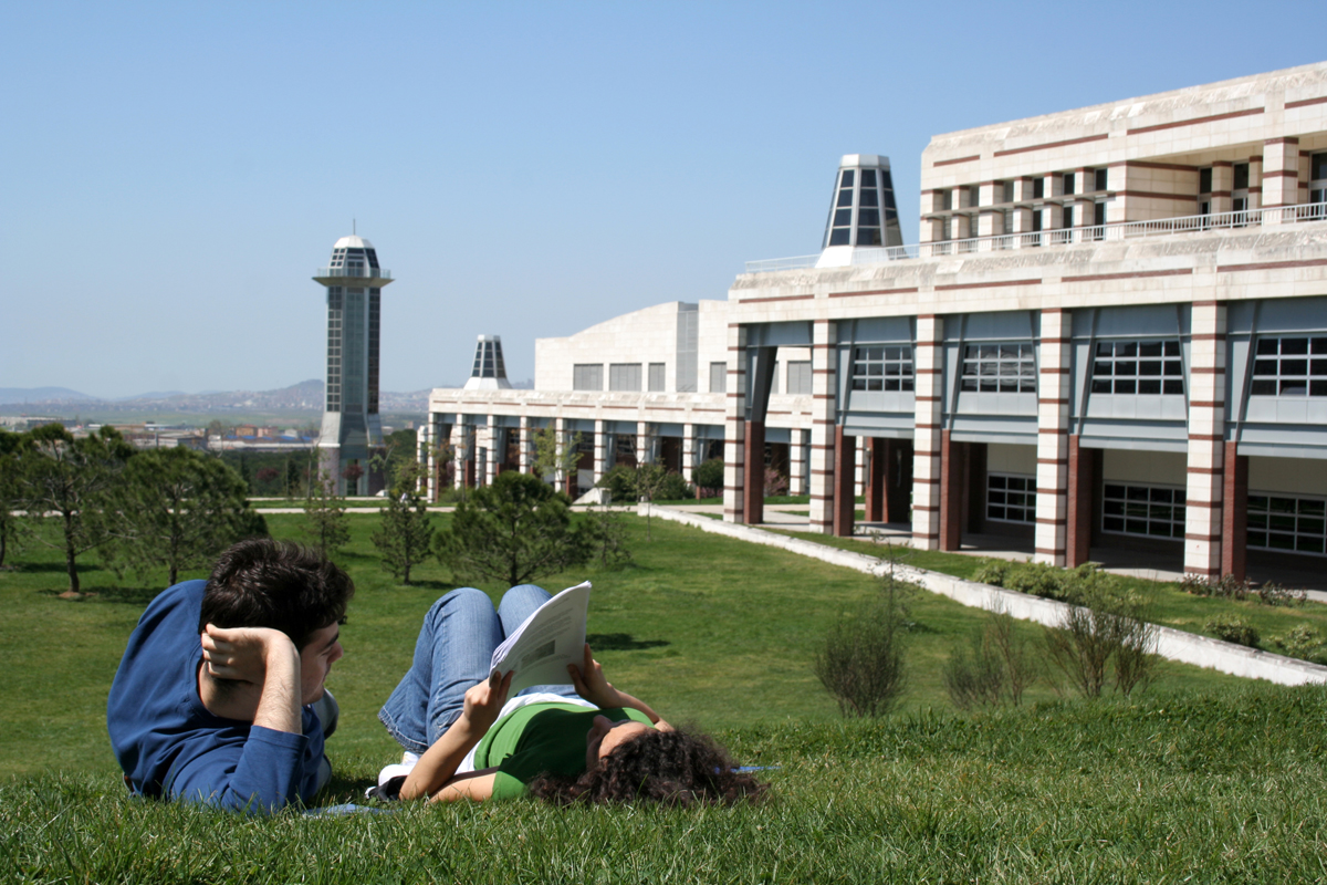 Students studying on the lawn